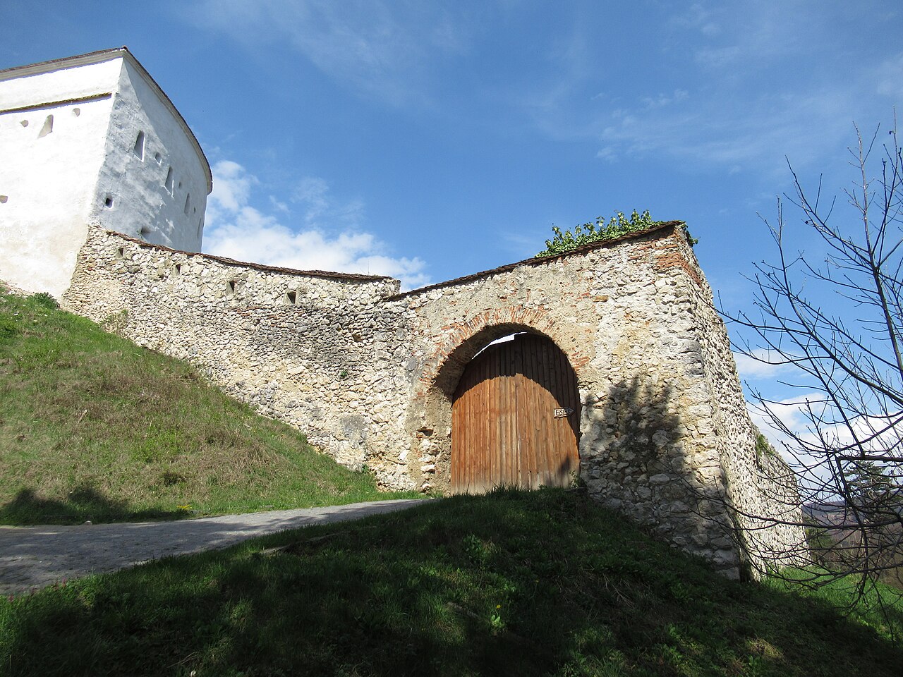 Poartă de lemn arcuită și zid exterior de piatră văzute de la sol.