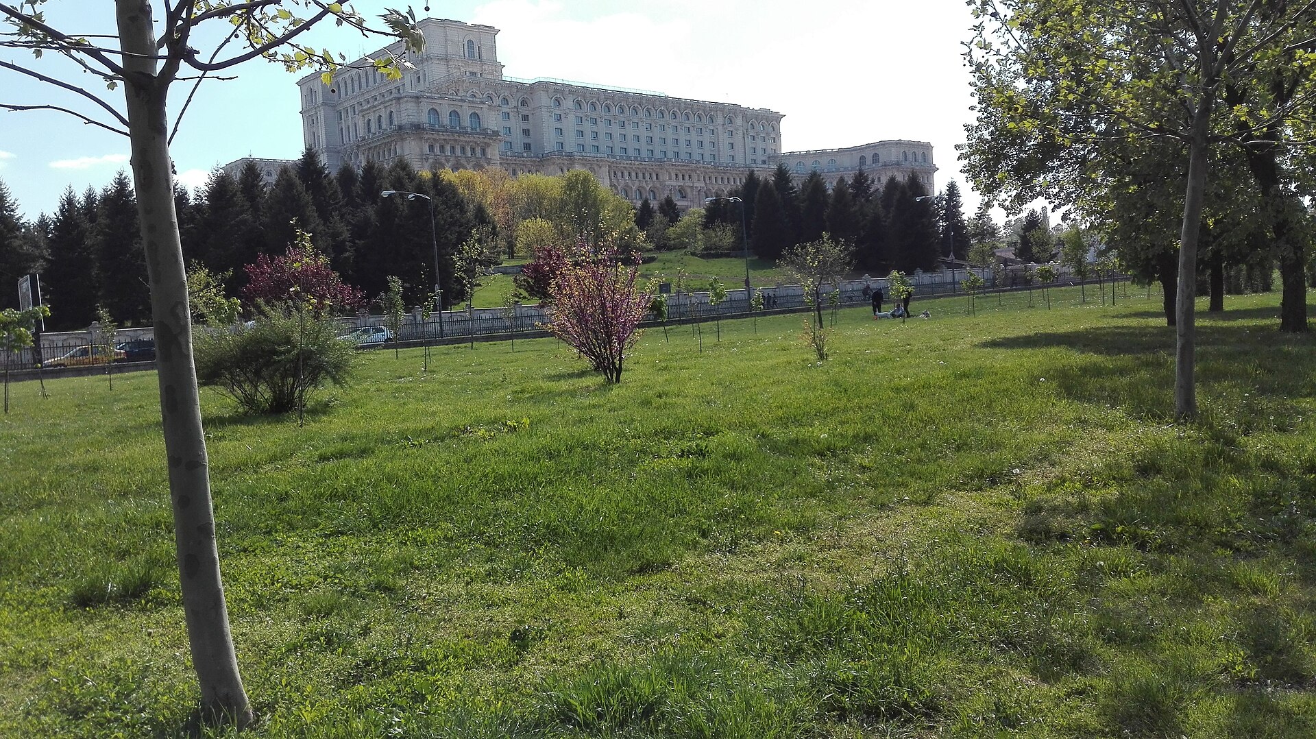 Fațada laterală și volumetria dinspre Parcul Izvor; vegetație în prim-plan