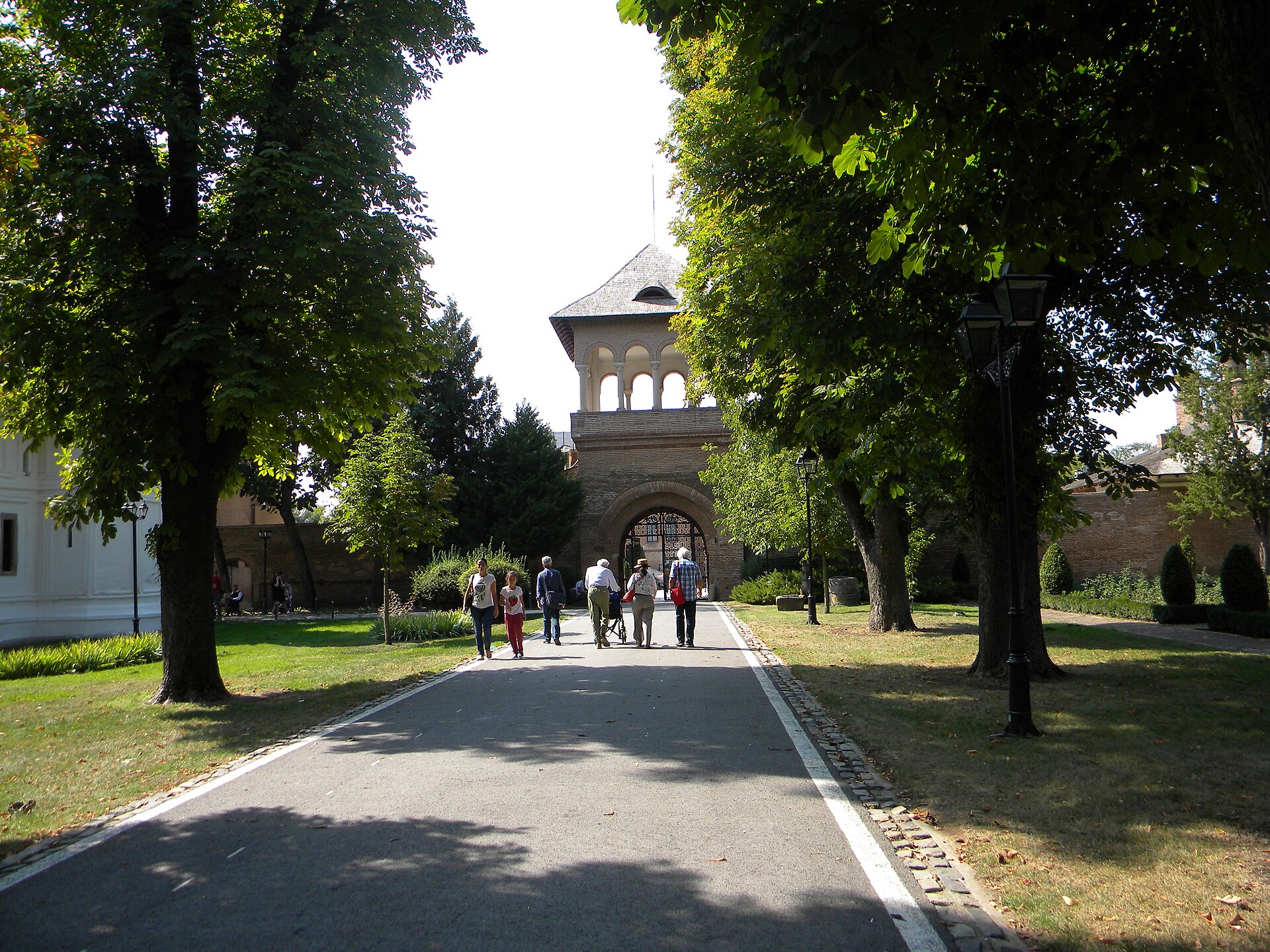 Turnul de poartă privit de pe aleea de acces, între arbori
