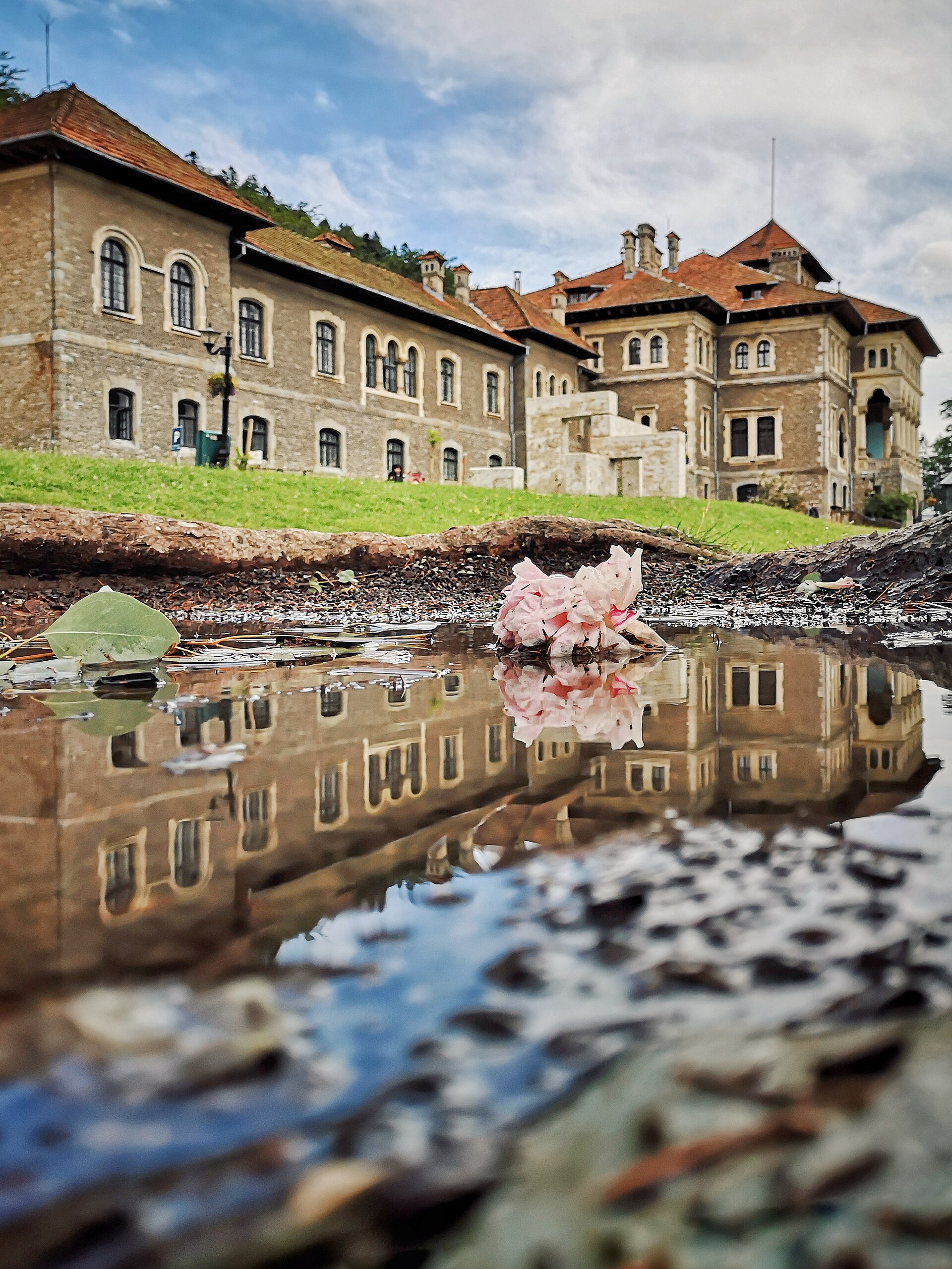 Aripi ale curții și acoperișuri, cu reflexie într-o suprafață de apă
