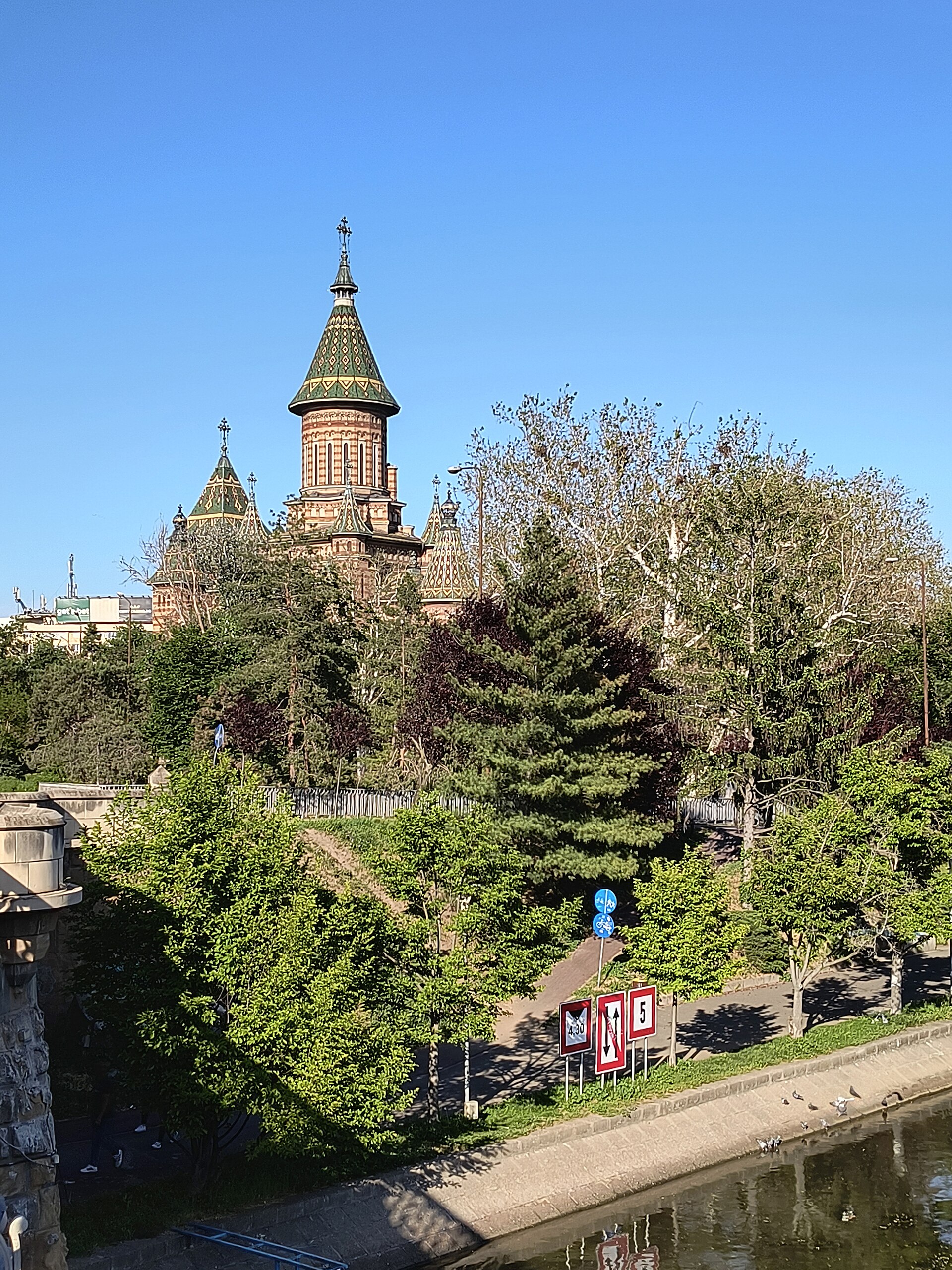 Turlele și învelitorile văzute peste coroanele arborilor, dinspre marginea pieței.
