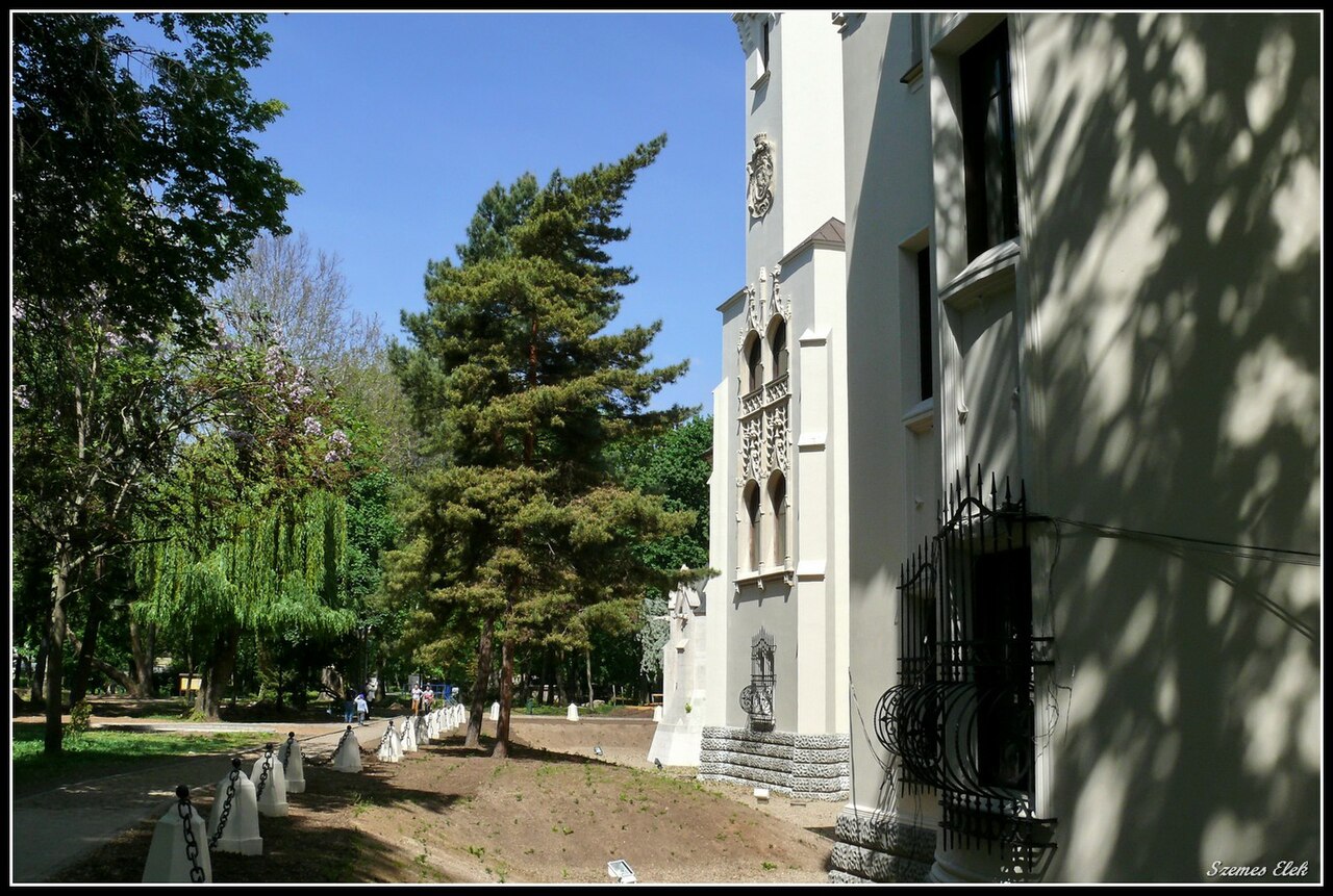 Soclul fațadei, goluri joase și aleea de lângă șanț.