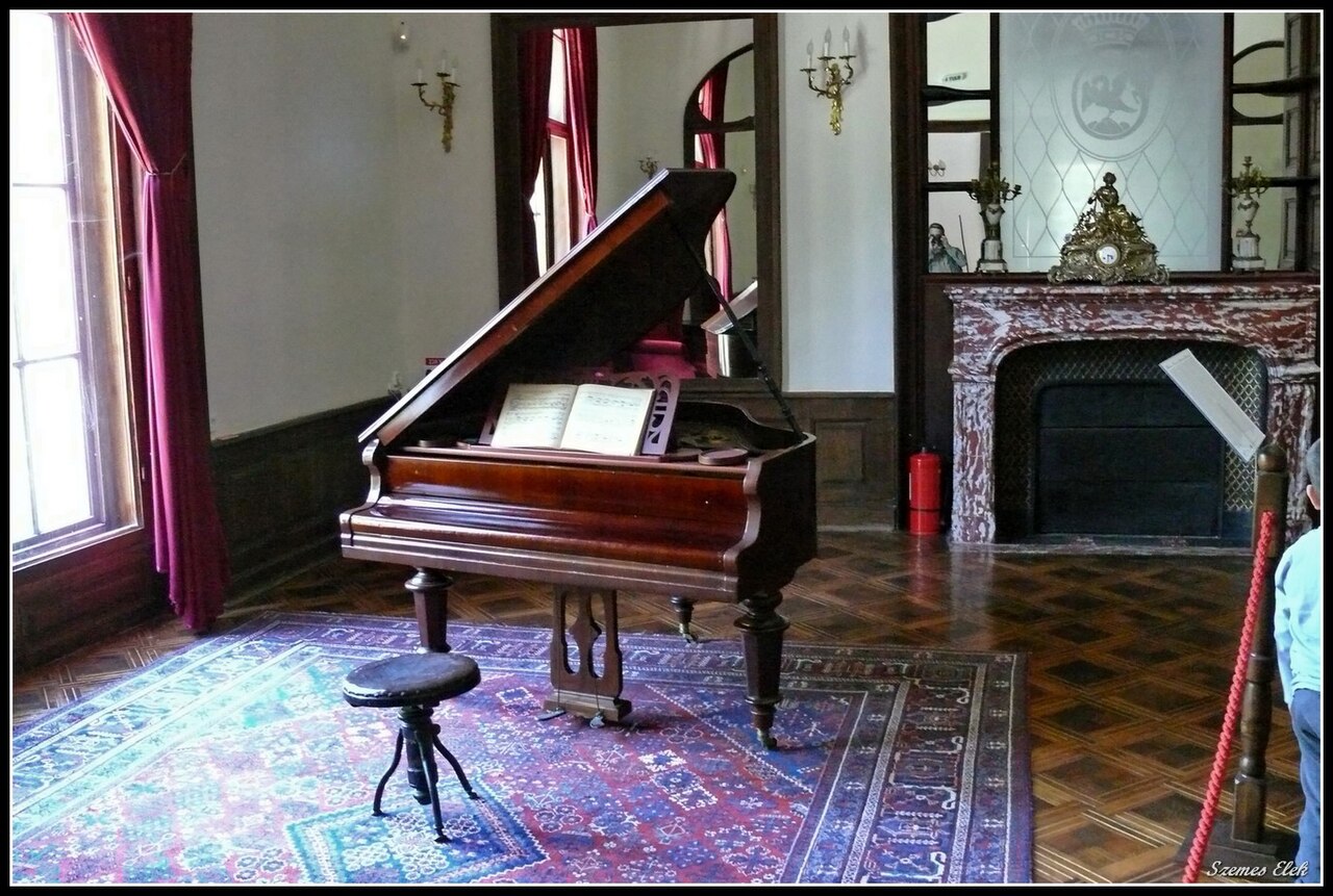 Încăpere cu pian, șemineu, draperii și pardoseală decorativă.