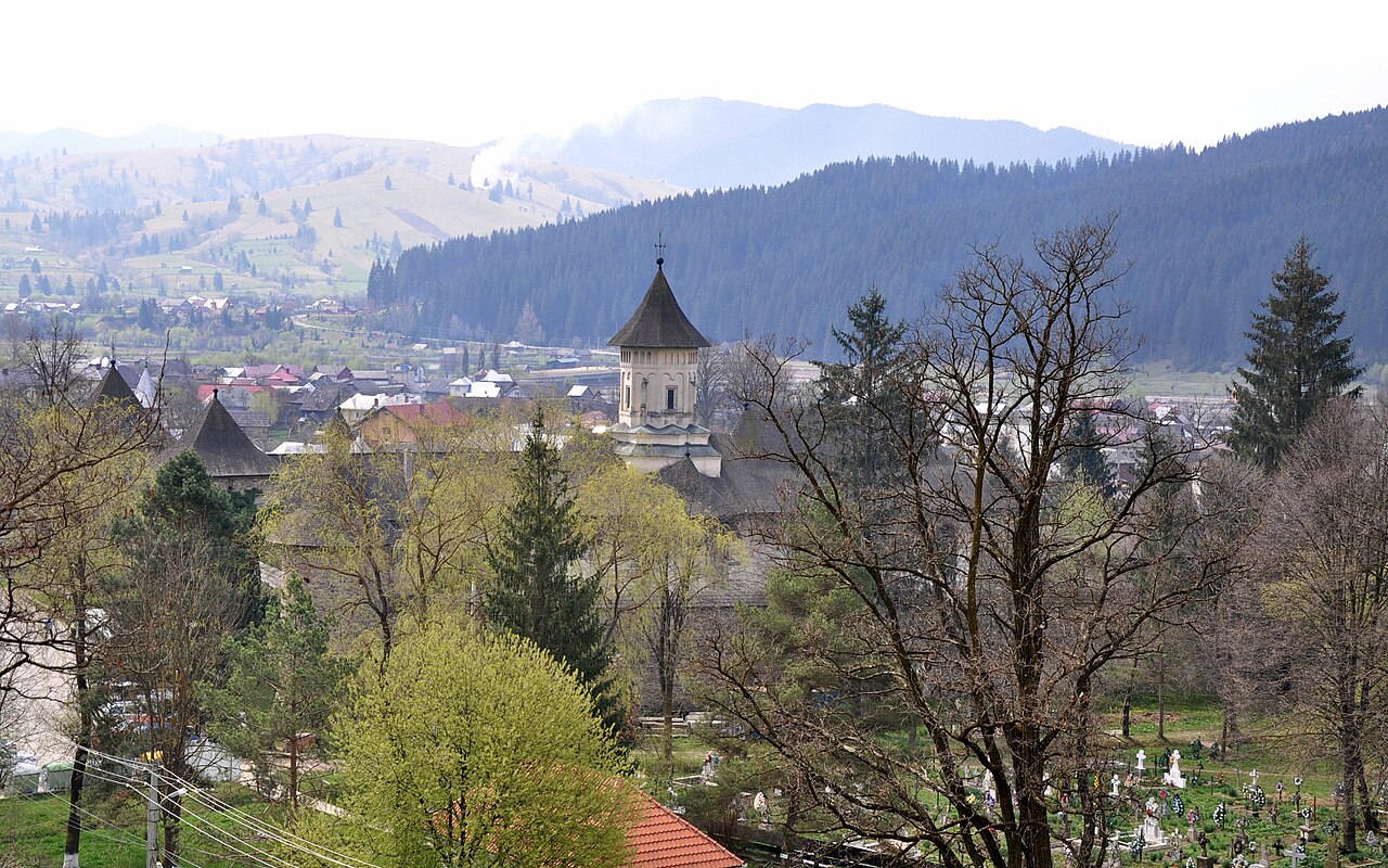 Vedere de la înălțime, de pe versant: turlă, acoperișuri și turnuri parțial ascunse de arbori.