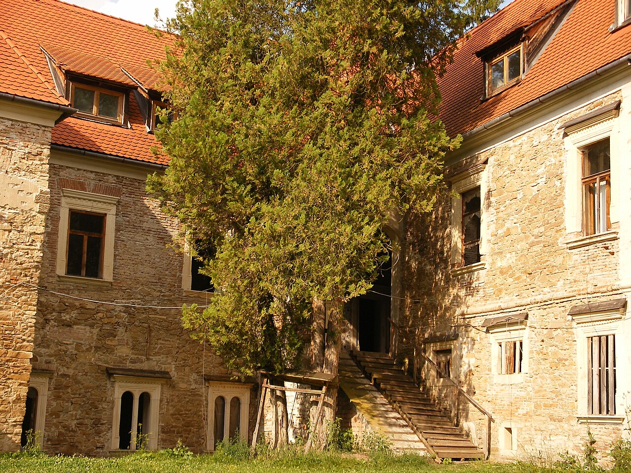 Scara și corpul de locuit văzute din curte, cu vegetație.
