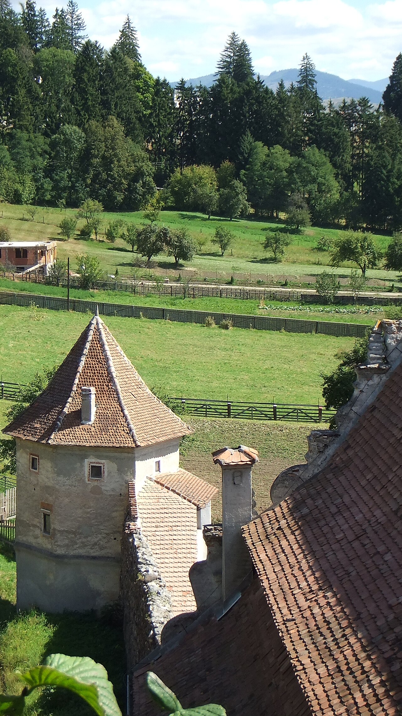 Bastion și racordul acoperișurilor, văzute dintr-un punct înalt al castelului.