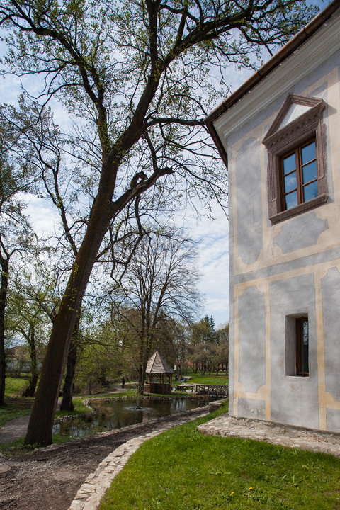 O parte a fațadei și arborii parcului, cu detalii de soclu și ferestre.