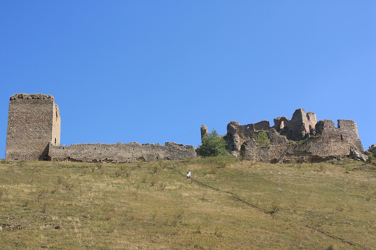 Cetatea văzută lateral: donjonul, zidul lung și ruinele palatului.