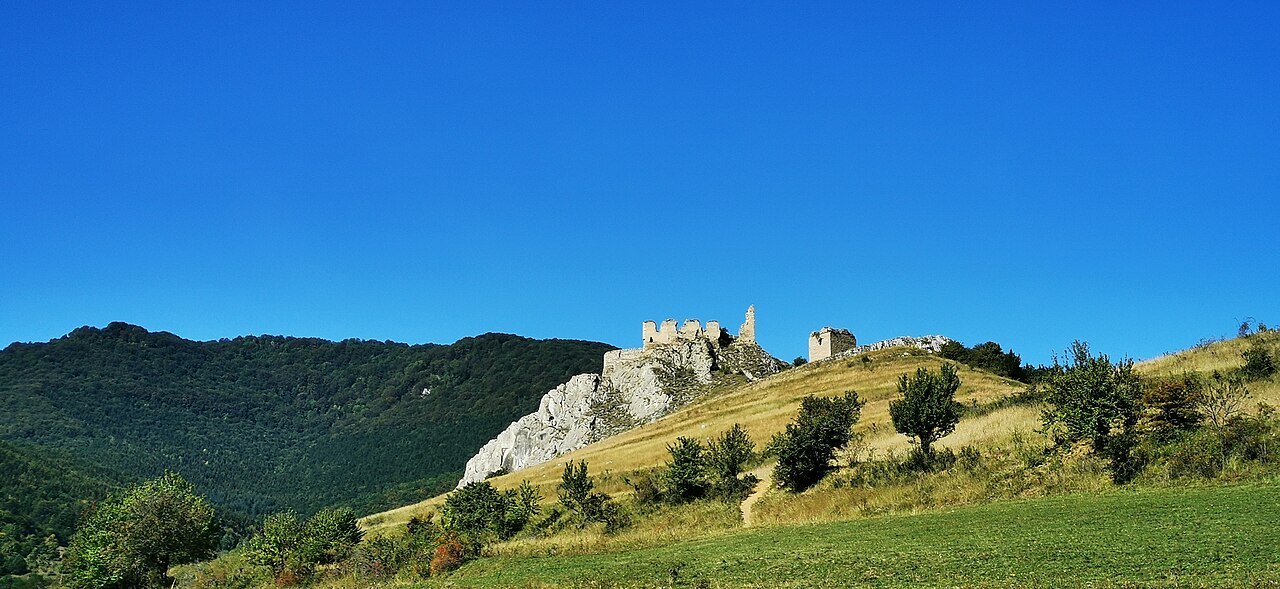 Ansamblul fortificației pe culme, cu terenul și versantul.