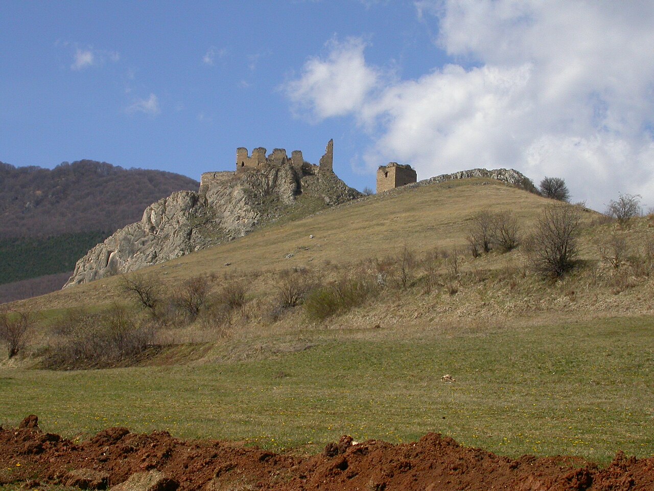 Ruinele cetății și donjonul, într-un cadru larg din câmp.