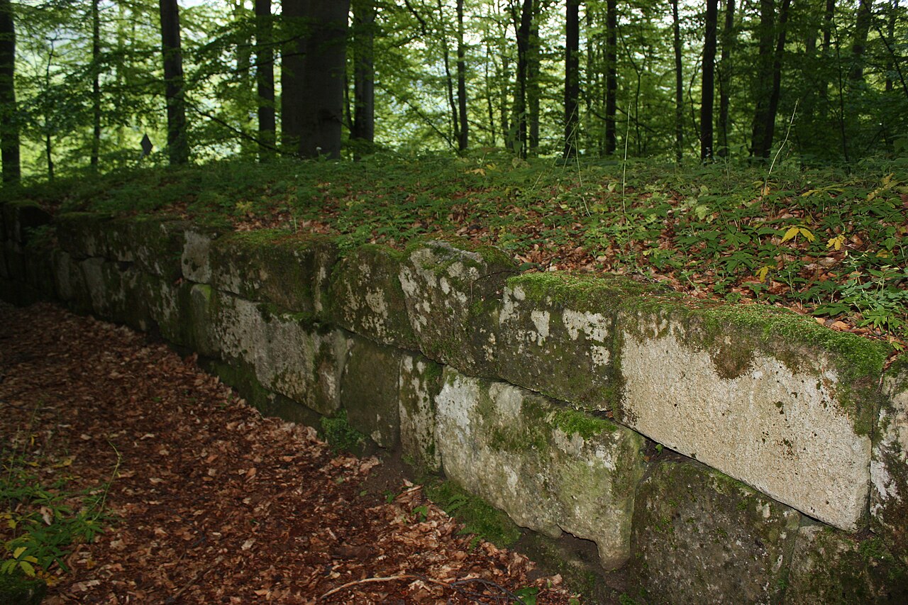Zid de blocuri în pădure.