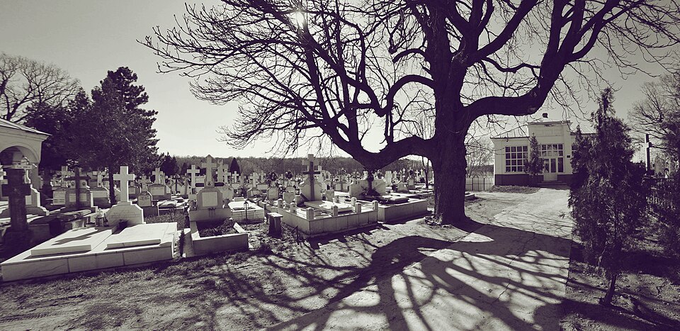 Aleile și monumentele cimitirului mănăstirii.
