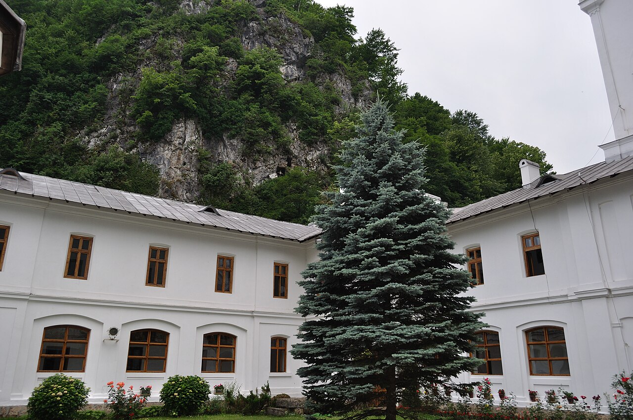Două aripi de chilii și colțul curții.