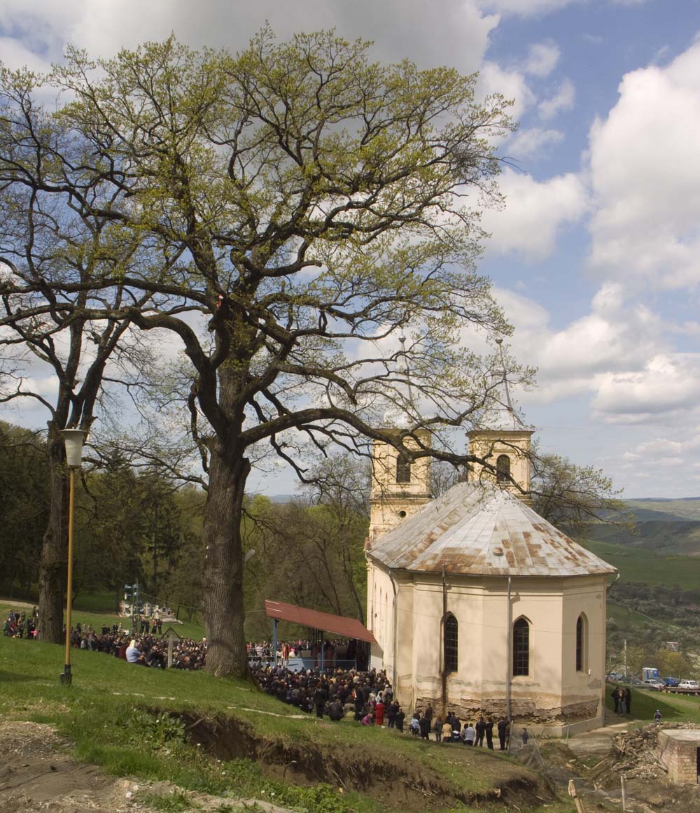 Biserica veche de zid, absida și latura spre arborele din incintă.