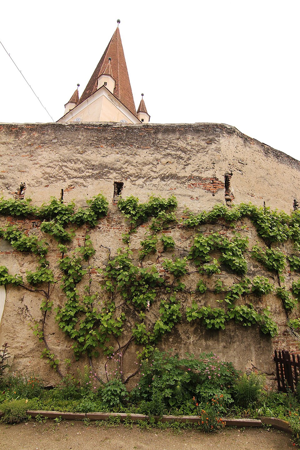 Zidul exterior, învelitoare și vegetație.